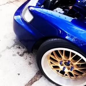 Meet your Posher, Roy